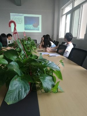 江蘇景寧信息技術 專業(yè)信息技術咨詢的新力量